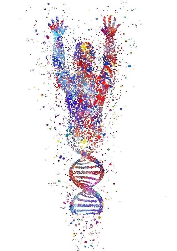 La imagen tiene un atributo ALT vacío; su nombre de archivo es human-body-molecules-dna-molecule-watercolor-print-watercolor-dna-dna-molecule-dna-man-art-print-wall-decor-e280a2-millions-of-unique-designs-by-independent-artists_-find-your-thing_.jpg
