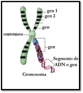 La imagen tiene un atributo ALT vacío; su nombre de archivo es image-4.png