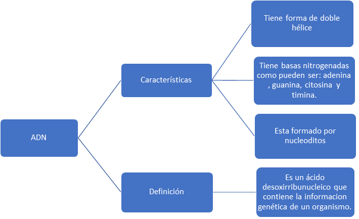 La imagen tiene un atributo ALT vacío; su nombre de archivo es image-5.png